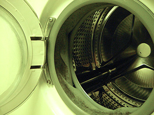 houd er rekening mee dat Kakadu dozijn Last van een stinkende wasmachine? De Waswacht